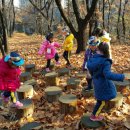 초안산 유아숲체험장 이미지