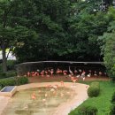 기린07-1 이미지