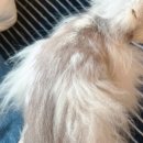 두카메디컬센터 이미지