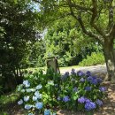 수국민박 이미지