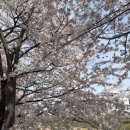 용암1교 - 722 | 용암1교