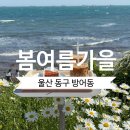 가을카페 - 미추홀구 석정로 437 | 울산 방어동 카페ㅣ 유채꽃밭 구경 가기 전 필수 코스, 슬도 오션뷰 카페 '봄여름가을' 의 솔직 후기!