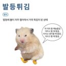 바람은 왱왱왱 마음은 잉잉잉