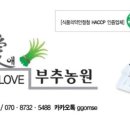 정애식품