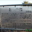 유석선생묘 및 신도비 이미지