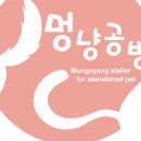 안멍냥 네이버블로그