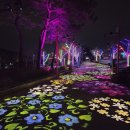 애니카랜드 김해중앙점 | ✨ 가야테마파크 빛축제 <빛을 향한 항해> 2026 완전정복! 일정·시간·주차·꿀팁 총망라
