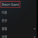 스팀가드