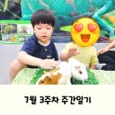 이마트24R칠곡3지구점 | 2025년 7월 3주차 주간일기