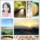 명곡농수산물 이미지