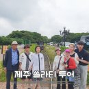 제주포인트투어 | 제주 쏠라티 투어 후기, 부모님까지 만족했던 3박4일 여행