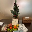 오션 클리프(2) | 내돈내산) 무이네 숙소 완벽 리뷰 | 더클리프 리조트 테라 오션뷰 투베드룸 2박 | 장단점 포함 솔직 후기 🫶