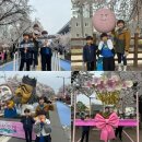 안동시립중앙도서관 | 안동 벚꽃축제, 안동시립중앙도서관, 일직식당, 월영교 야경(2024.4.6.토)