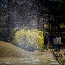 물향기공원 이미지