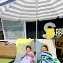 샤크빌리지6 이미지