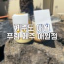 &#39;내돈내산&#39; 푸린 제주 애월점, 일본 정통식 푸딩