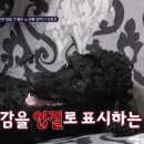 똘이과일