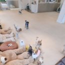 낙원유치원 이미지