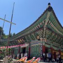 고성산소 | 2026 부처님 오신 날 털어본 고성 화암사 찐 후기! 비빔밥 오픈런 성공과 하심(下心)으로 번뇌 뚝딱...