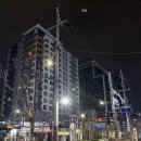 태림기계 | <37주5일> 조기양막파수 자연분만 시도 / 응급 제왕절개 엔딩.. 출산후기