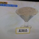 나잇살 타파 식욕 막는 시서스/영광기치유센터 이미지