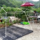 송계계곡민박 이미지