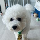 노랭보랭 이미지