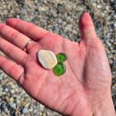 삼척해변 | 삼척 여행 코스 삼척해변 / 오분해변 비교 후기