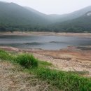 완도11호 이미지