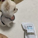 굳디컴퍼니 이미지