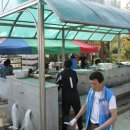 용현남초등학교 이미지