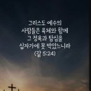 섬김라이프
