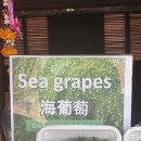 구경식당 이미지