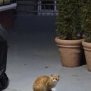 궁남로스테이 이미지