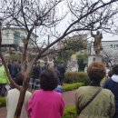 3.1운동기념사업회 이미지