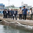 장기시장 이미지
