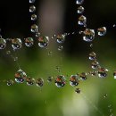 등촌1동302 이미지