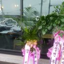 삼우이엔씨주 Daum카페