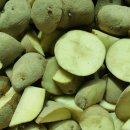 갑천농장 이미지