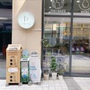 도돌이상점