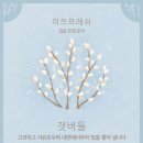 (주)프레쉬 이미지