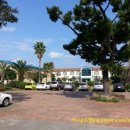 도리초등학교 병설유치원 이미지