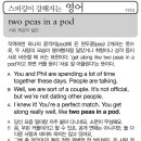 Two peas in a pod(서로 똑같이 닮은) 이미지