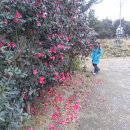 이뿐이 민박 이미지