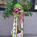 주신건축사사무소 이미지