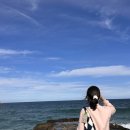 주문진식당 | 주문진 맛집 파도식당 본점 생 대구탕 후기 가볼만한곳 도깨비촬영지