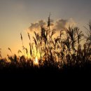 하늘공원 이미지