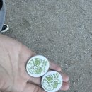 가오목장 이미지