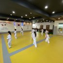 용인대골드태권도장 이미지