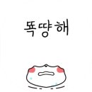 삼호볼링장 이미지